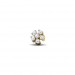 6 Star Diamond Nose-Pin 31% Discount